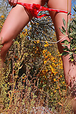 Aimee Addison - www.David-Nudes.com